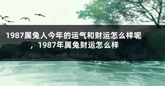 1987属兔人今年的运气和财运怎么样呢，1987年属兔财运怎么样