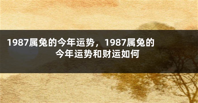1987属兔的今年运势，1987属兔的今年运势和财运如何