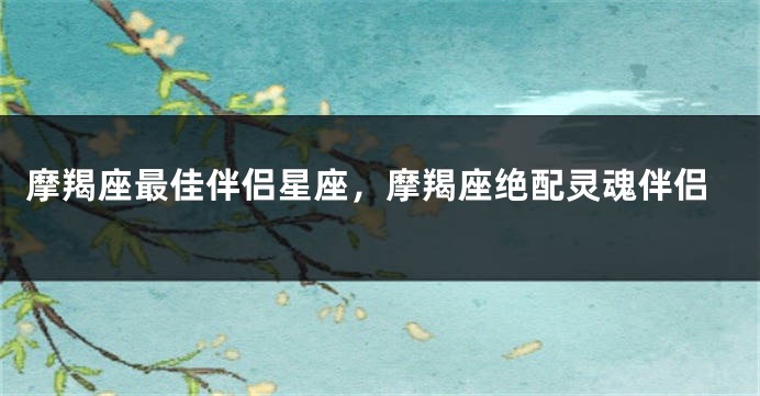 摩羯座最佳伴侣星座，摩羯座绝配灵魂伴侣