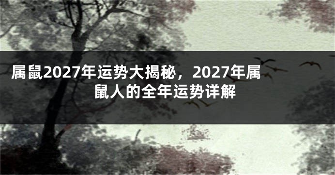 属鼠2027年运势大揭秘，2027年属鼠人的全年运势详解