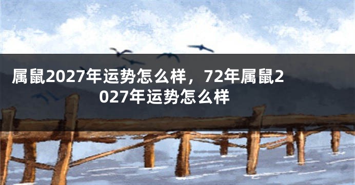 属鼠2027年运势怎么样，72年属鼠2027年运势怎么样