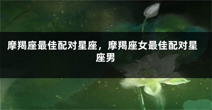 摩羯座最佳配对星座,摩羯座女最佳配对星座男