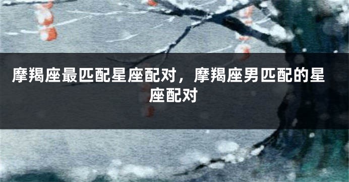 摩羯座最匹配星座配对，摩羯座男匹配的星座配对