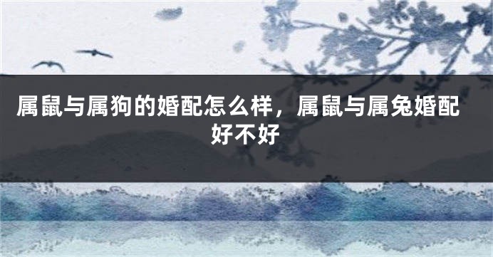 属鼠与属狗的婚配怎么样，属鼠与属兔婚配好不好