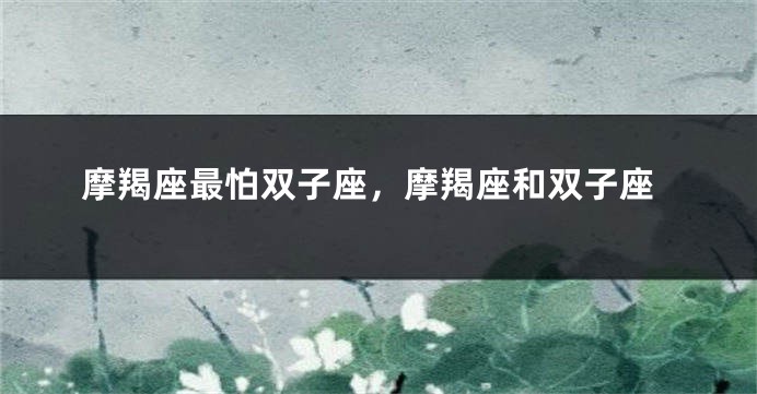 摩羯座最怕双子座，摩羯座和双子座