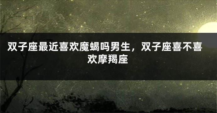 双子座最近喜欢魔蝎吗男生，双子座喜不喜欢摩羯座