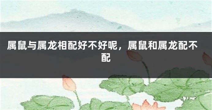 属鼠与属龙相配好不好呢，属鼠和属龙配不配