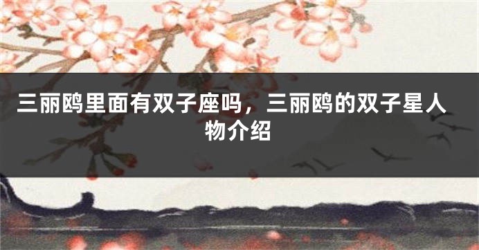 三丽鸥里面有双子座吗，三丽鸥的双子星人物介绍