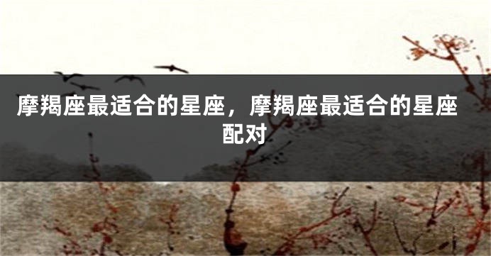 摩羯座最适合的星座，摩羯座最适合的星座配对