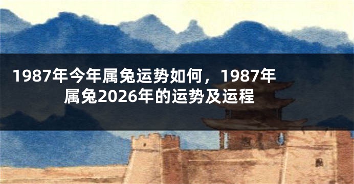 1987年今年属兔运势如何，1987年属兔2026年的运势及运程