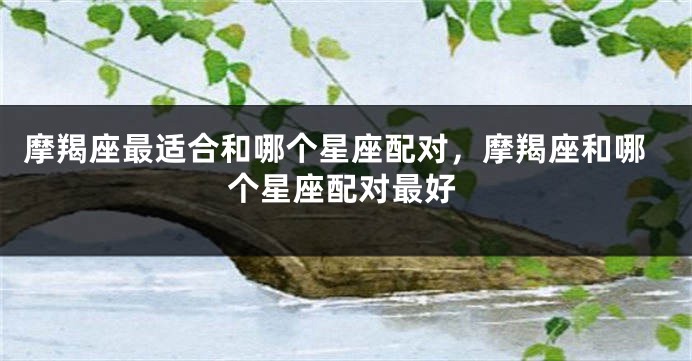 摩羯座最适合和哪个星座配对，摩羯座和哪个星座配对最好