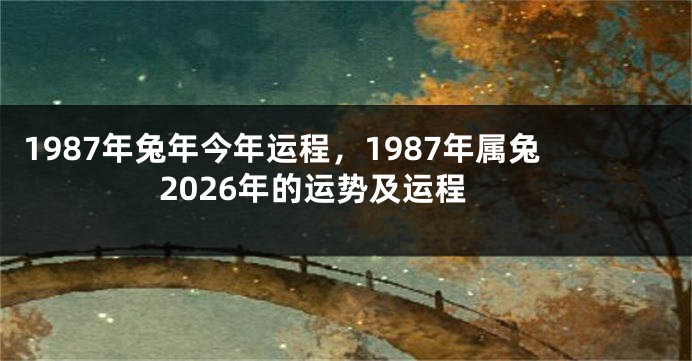 1987年兔年今年运程，1987年属兔2026年的运势及运程