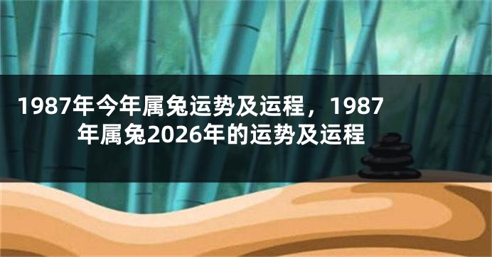 1987年今年属兔运势及运程，1987年属兔2026年的运势及运程