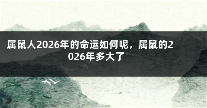 属鼠人2026年的命运如何呢，属鼠的2026年多大了
