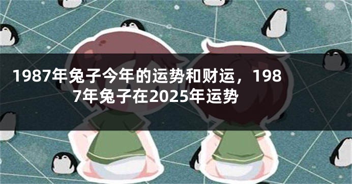 1987年兔子今年的运势和财运，1987年兔子在2025年运势