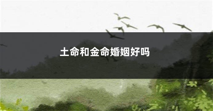 土命和金命婚姻好吗