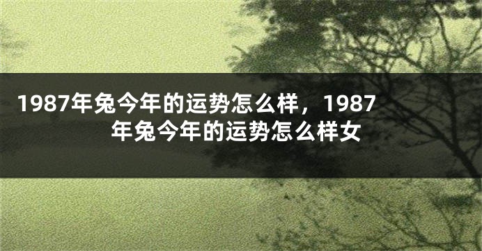 1987年兔今年的运势怎么样，1987年兔今年的运势怎么样女