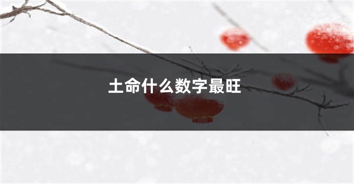 土命什么数字最旺