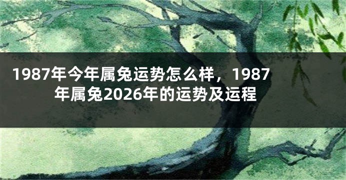 1987年今年属兔运势怎么样，1987年属兔2026年的运势及运程