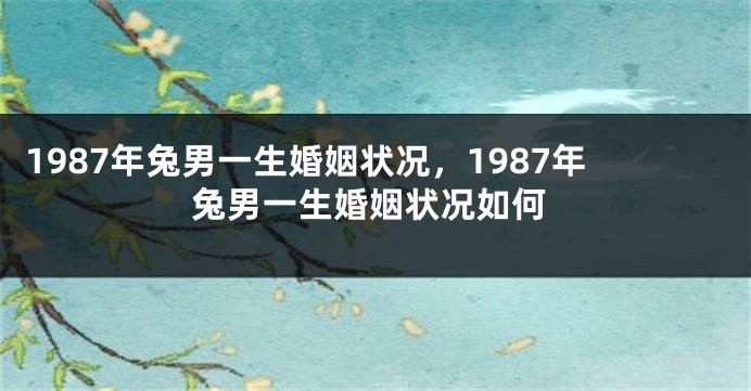 1987年兔男一生婚姻状况，1987年兔男一生婚姻状况如何