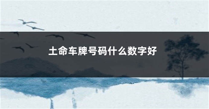 土命车牌号码什么数字好