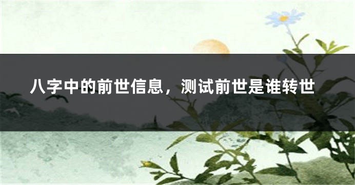 八字中的前世信息，测试前世是谁转世