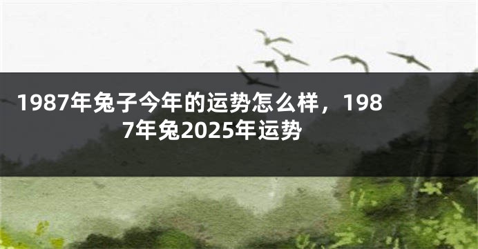 1987年兔子今年的运势怎么样，1987年兔2025年运势