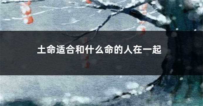 土命适合和什么命的人在一起