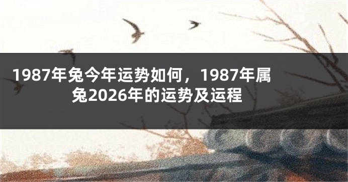 1987年兔今年运势如何，1987年属兔2026年的运势及运程
