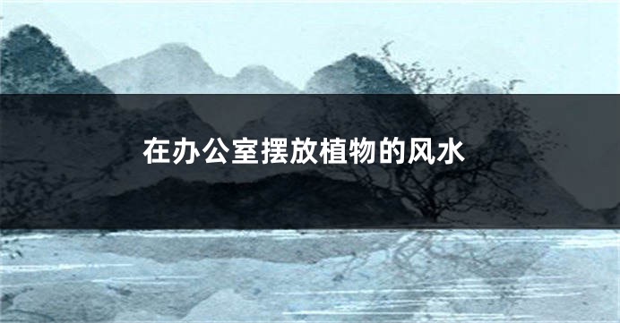 在办公室摆放植物的风水