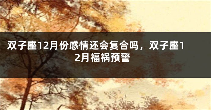 双子座12月份感情还会复合吗，双子座12月福祸预警
