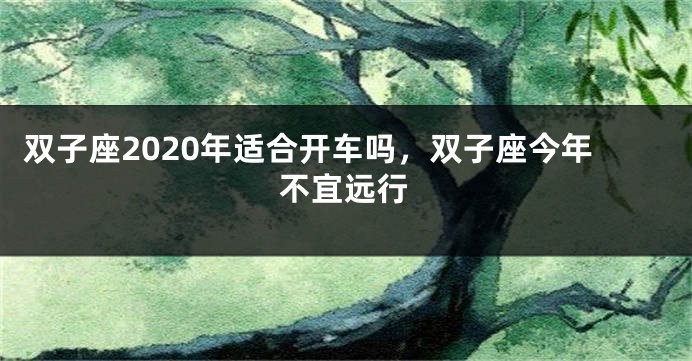 双子座2020年适合开车吗，双子座今年不宜远行