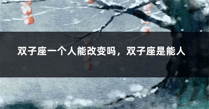 双子座一个人能改变吗，双子座是能人