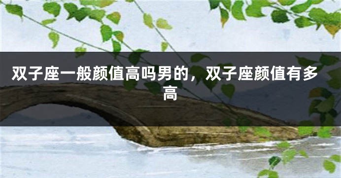 双子座一般颜值高吗男的，双子座颜值有多高