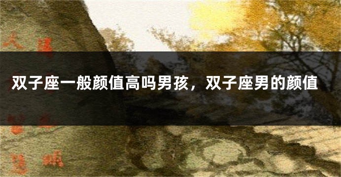 双子座一般颜值高吗男孩，双子座男的颜值