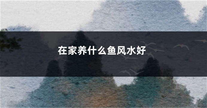 在家养什么鱼风水好