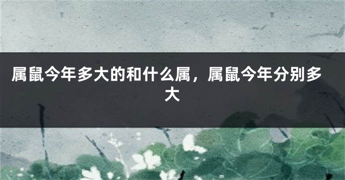 属鼠今年多大的和什么属，属鼠今年分别多大