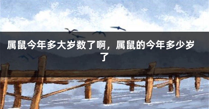 属鼠今年多大岁数了啊，属鼠的今年多少岁了