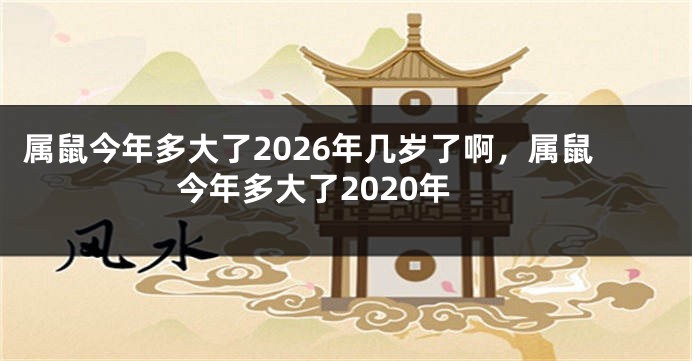 属鼠今年多大了2026年几岁了啊，属鼠今年多大了2020年