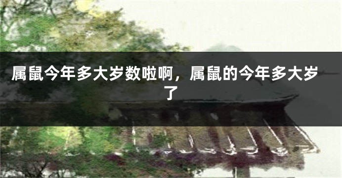 属鼠今年多大岁数啦啊，属鼠的今年多大岁了