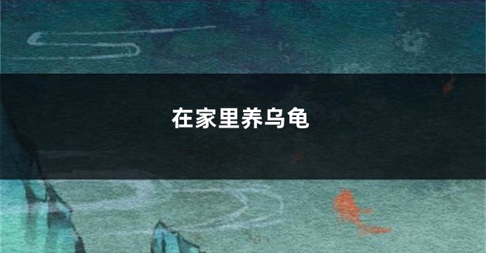 在家里养乌龟