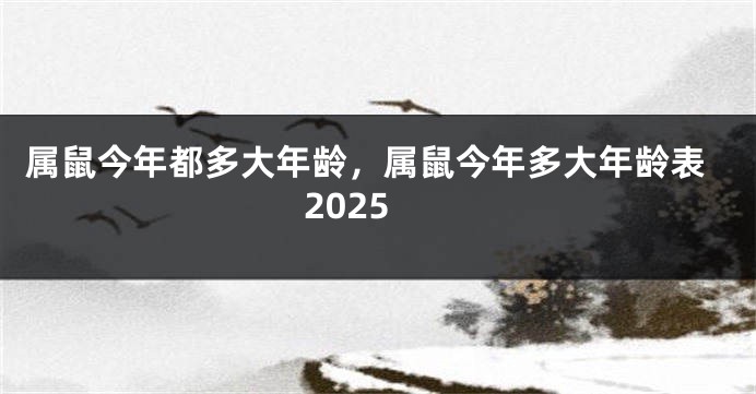 属鼠今年都多大年龄，属鼠今年多大年龄表2025