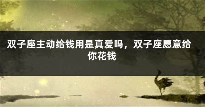 双子座主动给钱用是真爱吗,双子座愿意给你花钱