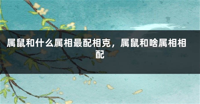 属鼠和什么属相最配相克,属鼠和啥属相相配