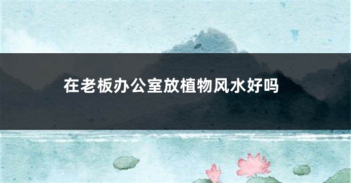 在老板办公室放植物风水好吗
