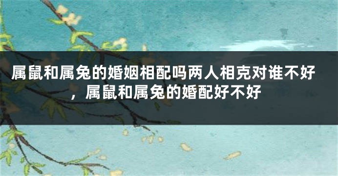 属鼠和属兔的婚姻相配吗两人相克对谁不好，属鼠和属兔的婚配好不好