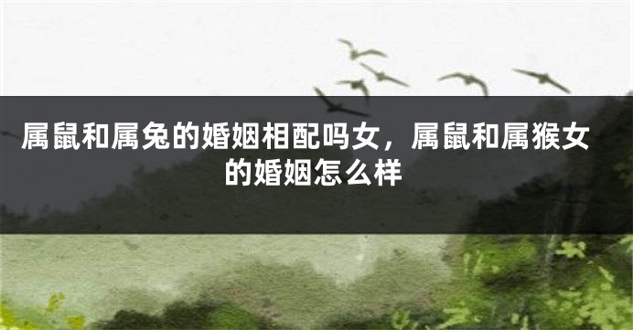 属鼠和属兔的婚姻相配吗女，属鼠和属猴女的婚姻怎么样