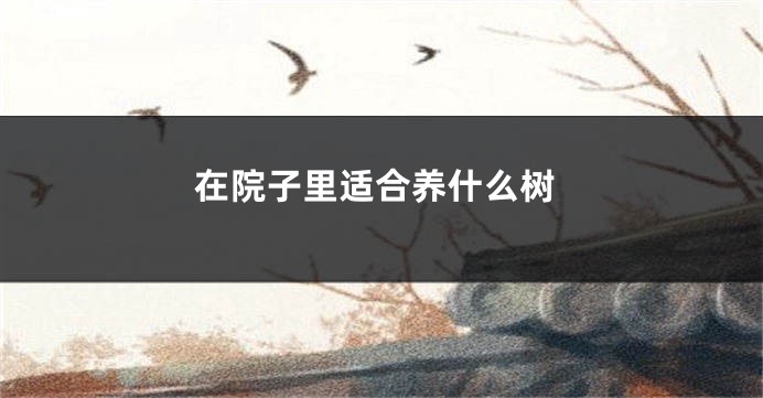 在院子里适合养什么树
