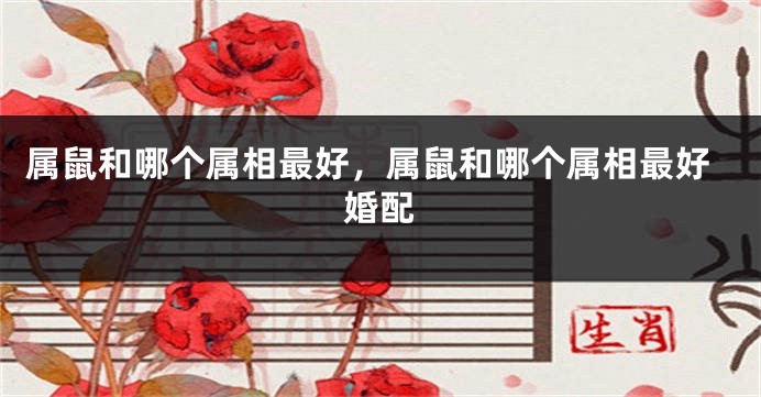 属鼠和哪个属相最好，属鼠和哪个属相最好婚配