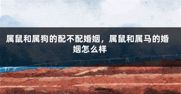 属鼠和属狗的配不配婚姻，属鼠和属马的婚姻怎么样